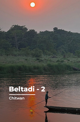 chitwan